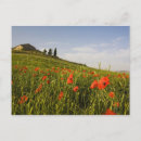 Zoek naar italië briefkaarten Villa