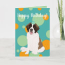 Zoek naar st bernard hond kaarten Sint bernard puppy