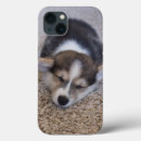 Zoek naar welsh corgi iphone hoesjes Koningin