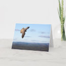 Zoek naar valk kaarten Vogel