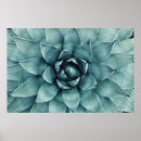 Zoek naar groen plant posters Cactus
