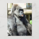 Zoek naar gorilla briefkaarten Schattig