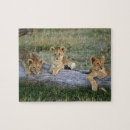 Zoek naar kenya puzzels Grote kat