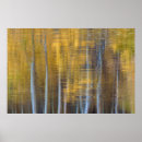 Zoek naar herfst bos posters Loof