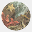 Zoek naar zeewier stickers Kust