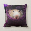 Zoek naar ratten kussens Schattige rat