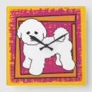 Zoek naar bichon frise klokken Huisdier