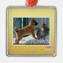 Zoek naar grasshoppers ornamenten Ik kan cheezburger hebben