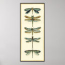 Zoek naar libellen posters Crème