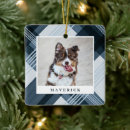 Zoek naar pleister ornamenten Hond