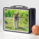 Zoek naar groot lunchboxen Ieder kind