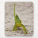 Zoek naar chameleon muismatten Natuur