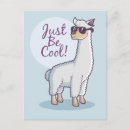 Zoek naar alpaca verjaardagskaarten Feest