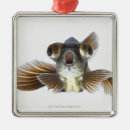 Zoek naar goudvis ornamenten Zeealife