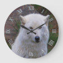 Zoek naar witte wolven klokken Wild