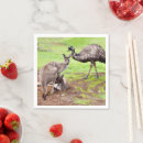 Zoek naar kangoeroe servetten Australisch