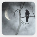 Zoek naar kraaien stickers Raven