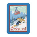 Zoek naar wyoming magneten Jackson