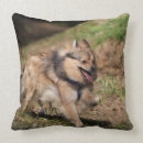 Zoek naar spitz kussens Panting