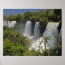 Zoek naar iguacu posters Schoonheid in natuur