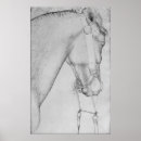 Zoek naar paard hoofd posters Pisanello
