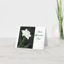 Zoek naar witte tulpen fotografie Floreel