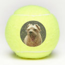 Zoek naar puppy fotografie Elk persoon