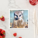 Zoek naar wilde katten servetten Elk persoon