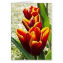 Zoek naar triplets briefkaarten Rood