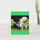 Zoek naar geel labrador kaarten Voor haar