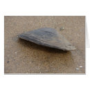 Zoek naar mosselen kaarten Schelp