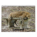 Zoek naar big cat kalenders Luipaard