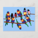 Zoek naar vink briefkaarten Vogels