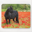Zoek naar zwart paard muismatten Natuur