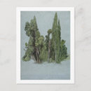 Zoek naar tivoli briefkaarten Villa