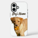 Zoek naar golden retriever puppy iphone hoesjes Voor iedereen