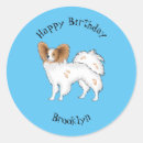Zoek naar papillon hond stickers Huisdier
