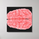 Zoek naar neurologie posters Cerebellum