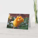 Zoek naar rosebuds kaarten Nam toe
