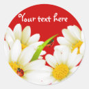 Zoek naar ladybug stickers Madeliefje