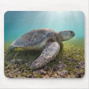 Zoek naar zee schildpad muismatten Strand