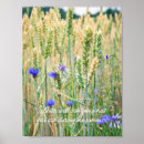 Zoek naar korenbloemen posters Blauwe korenbloem