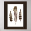 Zoek naar feather kunst Dier