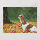 Zoek naar geluid briefkaarten Voor kinderen