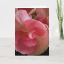 Zoek naar schilde kaarten Bloem