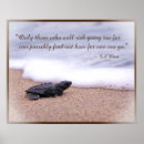 Zoek naar baby schildpad posters Voor haar