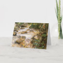 Zoek naar vintage vissen briefkaarten Vissers