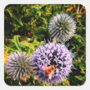 Zoek naar wespen stickers Natuur