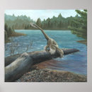 Zoek naar paleontologie posters Raptor