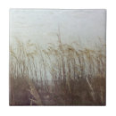 Zoek naar landschappen tegels Zandduinen